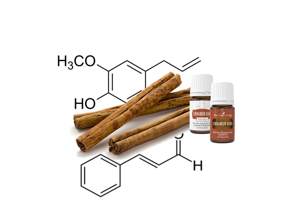 THE SECRETS OF CINNAMON BARK CHEMICAL FOCUS Okc Massage Clinic